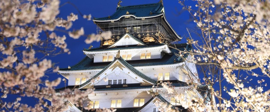 JAPONYA TURU (KIX – HND)